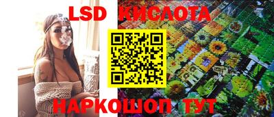 PSILOCYBIN Беслан