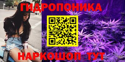 PSILOCYBIN Беслан