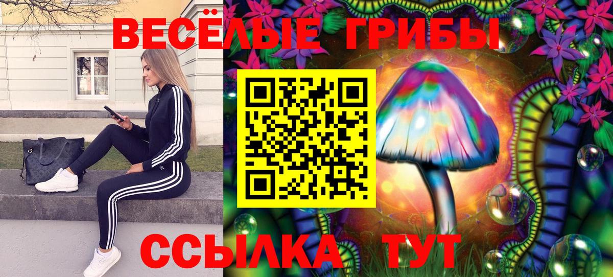 Псилоцибиновые грибы GOLDEN TEACHER Зеленодольск